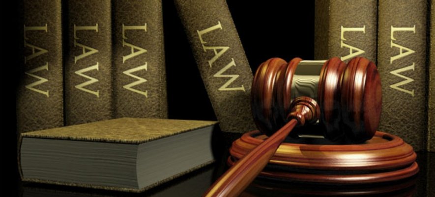 Principles of the Law of Software Contracts approved