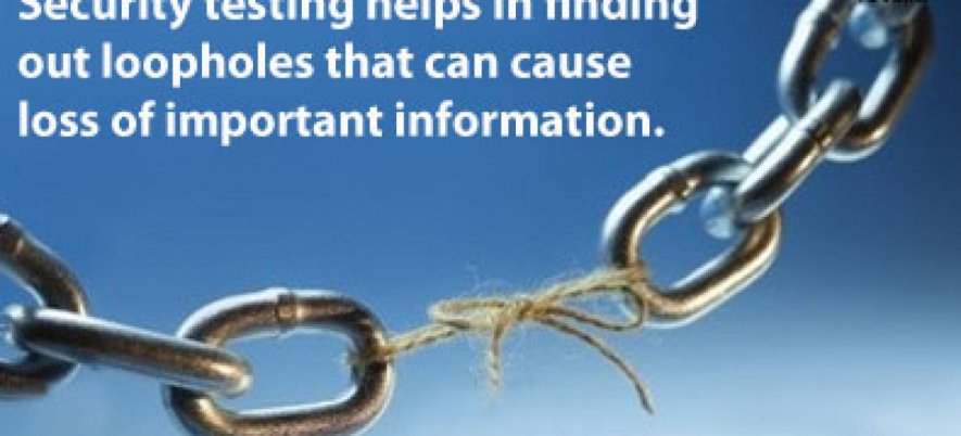 Understanding the Basics of Software Security Testing