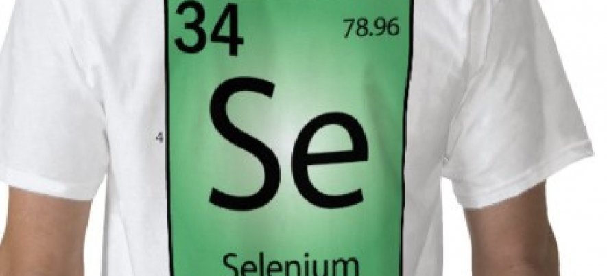 Selenium Auto Accept Self Signed SSL Certificates and Basic Authentication