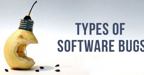 Types Of Bugs In Software Testing | Blog QATestLab