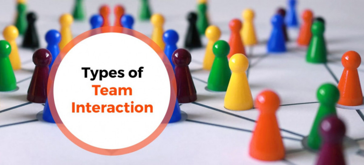 Types of Interaction within Software Project Team