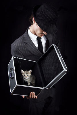 Black-Box-Test-Techniques.-State-Transition-Testing Black-Box-Test-Techniques.-State-Transition-Testing