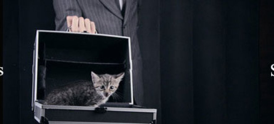 Black Box Test Techniques. Statement Testing