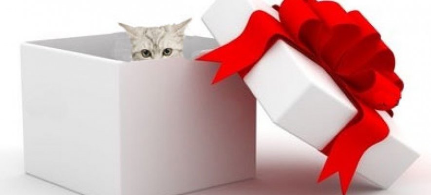 White Box Test Techniques. Branch Condition Combination Testing