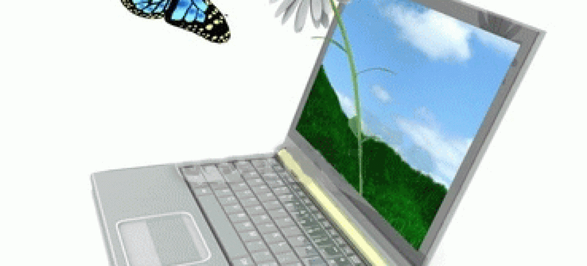 What Can Be Done to Prevent Software Bugs?