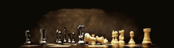 Software Bug Averting Strategies