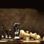 Software Bug Averting Strategies