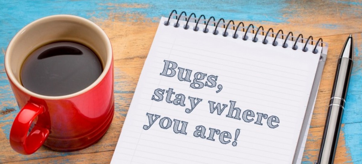 Preventing of Software Bugs and Bug Sources