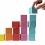 5 Levels of Capability Maturity Model