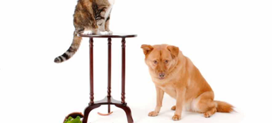Who to Blame for Software Defects in Production?