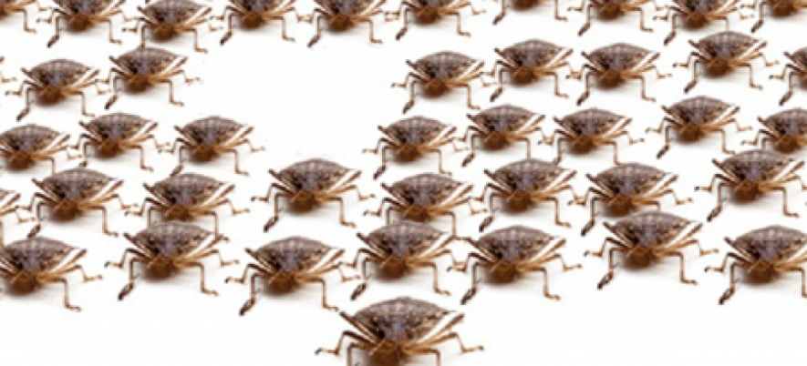 Why is it Important to Track Software Bugs Density?