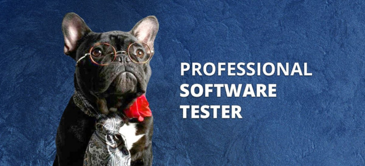 How to Become a Professional Software Tester?