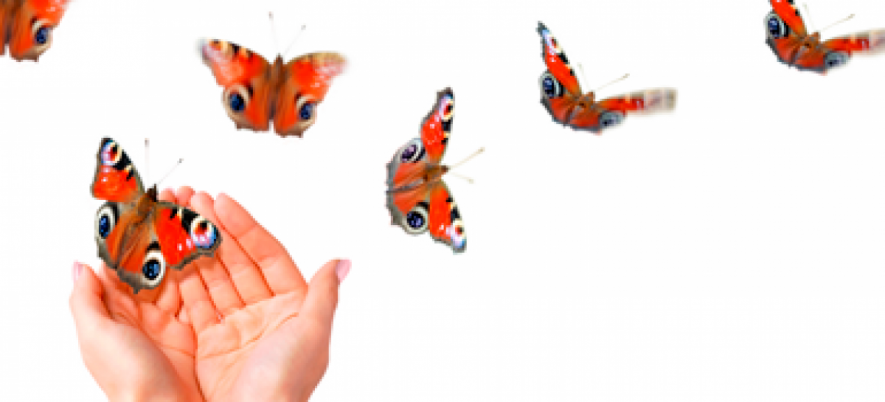 What Bugs Can Be Found During Gesture Tour?