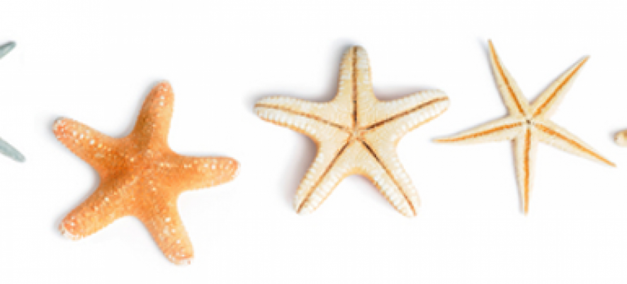 Why is High Rating Important for Mobile Software?