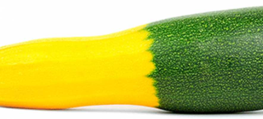 Mobile Hybrid Software Products: pros and cons