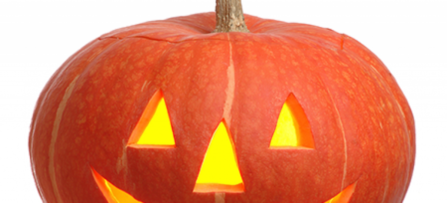 What are Fears of Manual Test Engineers?
