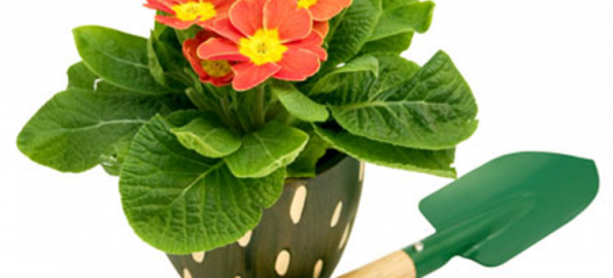 How to Choose a Suitable Test Management Tool?