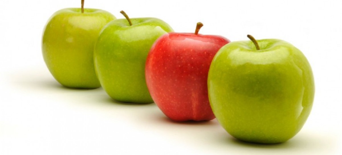 4 Main Inequalities of Testing and Debugging Procedures