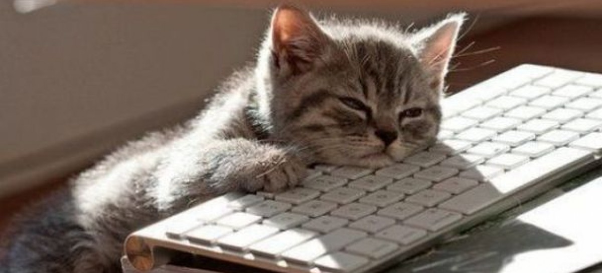 Like Clockwork: What to Do If There Are No Bugs