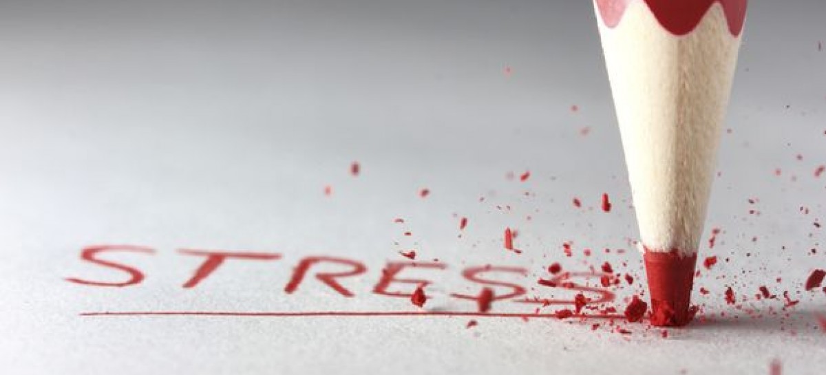 Stress, Performance and Load: Three Pillars to Lean On during Testing