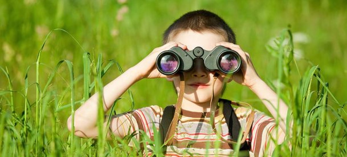 3 Main Points of Exploratory Testing