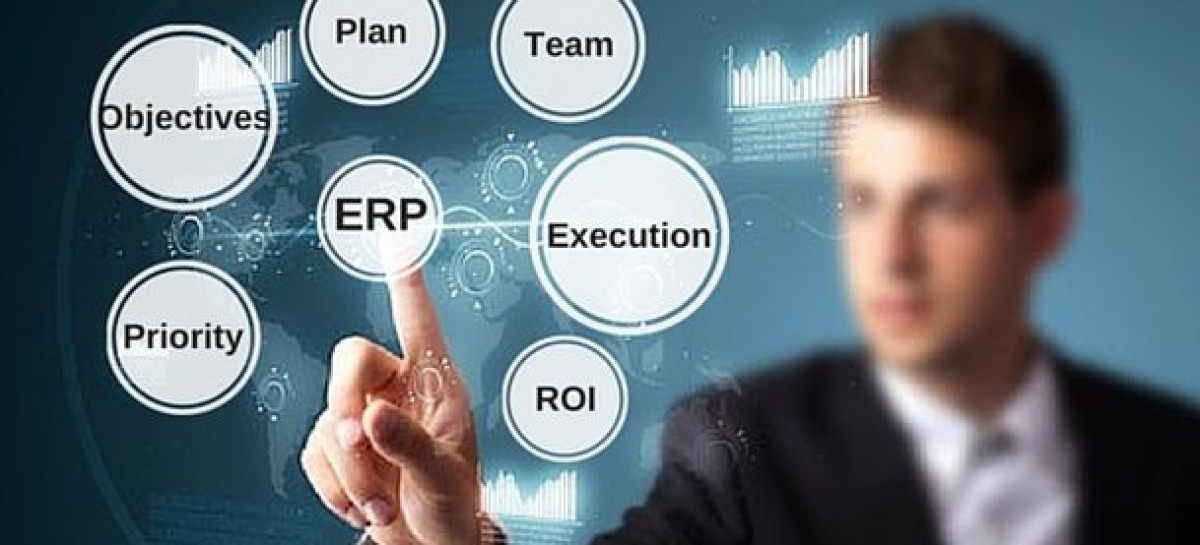 Enterprise Resource Planning in the IT Sphere