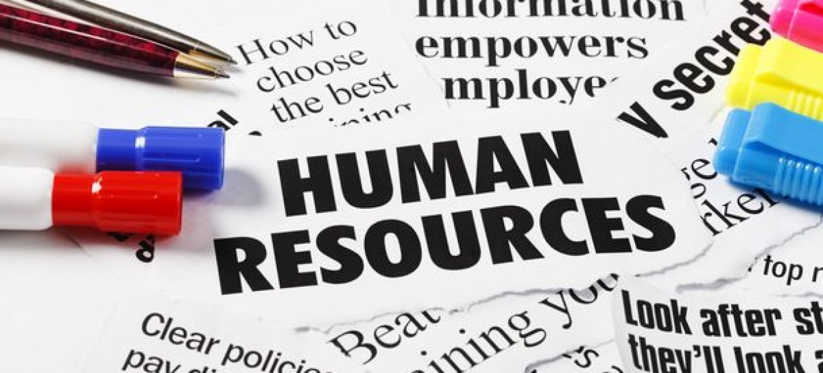 What Qualities Do HRs Seek for a Tester Position?