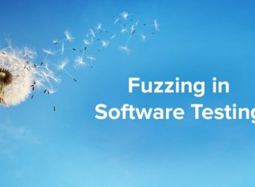 What is Fuzz Testing?