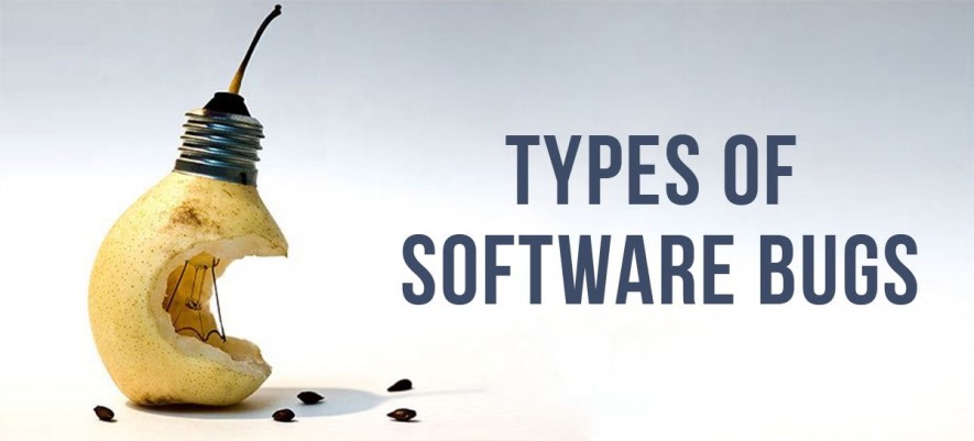 Different Kinds Of Software Bugs