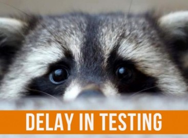 Testing Delay – Headache of Test Managers
