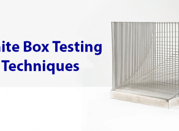 Techniques for White Box Testing