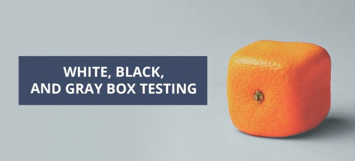 What Is The Difference Between White Box, Black Box And Gray Box Testing?