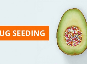 What Is Software Bug Seeding?