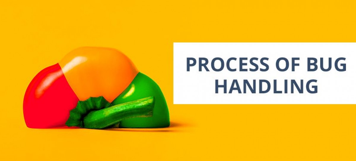 Software Bug Handling Process And Tools