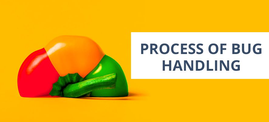 Software Bug Handling Process And Tools