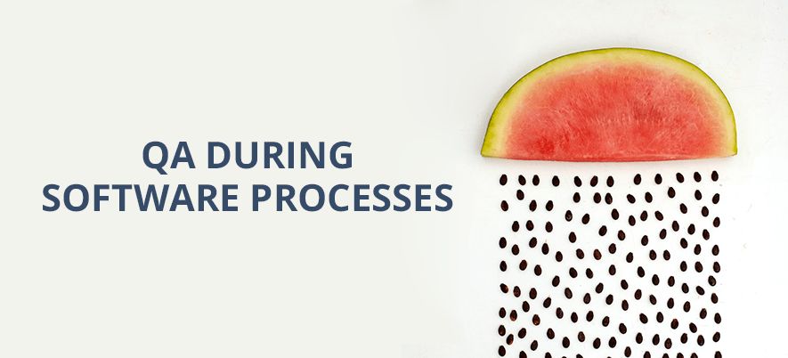 Quality Assurance Activities In Software Processes