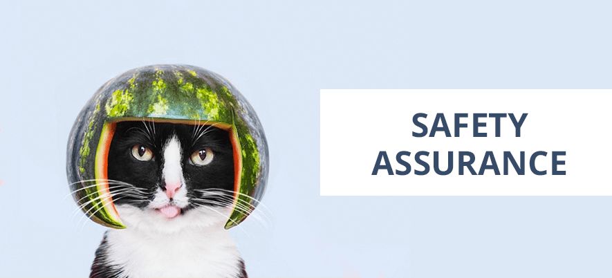 Safety Assurance And Failure Scope