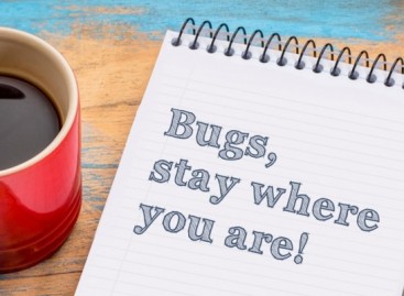 Preventing of Software Bugs and Bug Sources