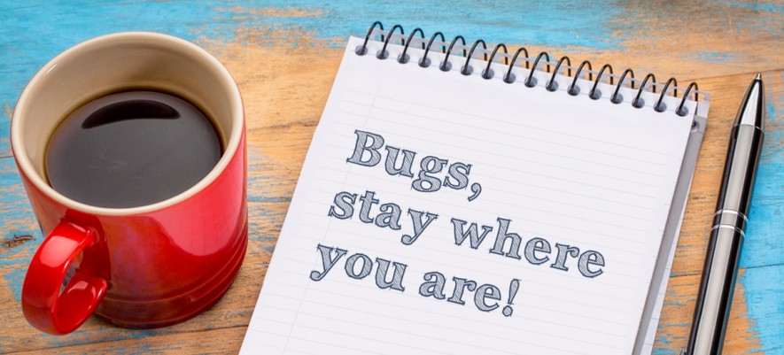 Preventing of Software Bugs and Bug Sources