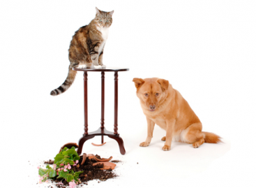Who to Blame for Software Defects in Production?