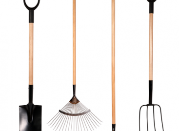 4 Widely Used Types of Testing Programs