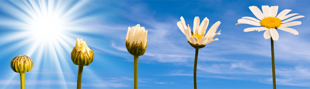 5 Phases of a Software Bug Life-Cycle