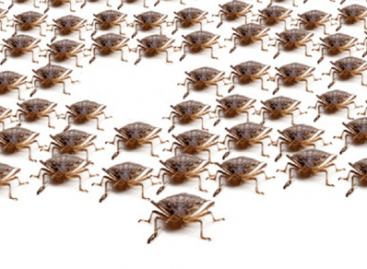 Why to Track Software Bugs Density?