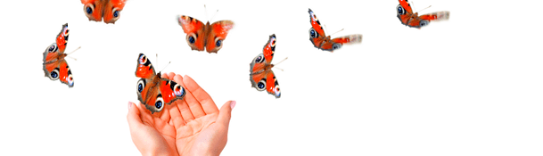 What Bugs Can Be Found During Gesture Tour?