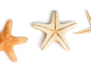Why is High Rating Important for Mobile Software?