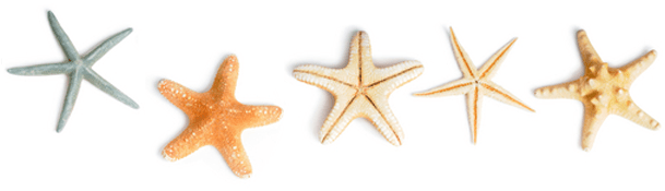 Why is High Rating Important for Mobile Software?