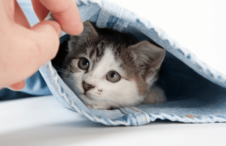What Serious Defects Network Transition Points Hide