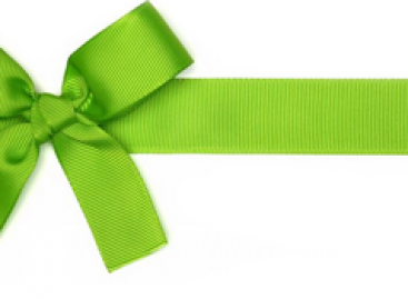 What Title Should Bug Report Have?