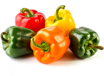 5 Characteristics of a Good Bug Report