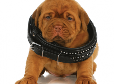 Why Techniques for Desktop Testing Don’t Suit Mobile one?